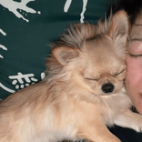 0904momo20
