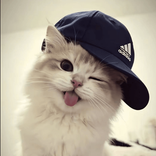 0.ling_13