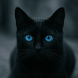 aaaa_222a1