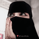 amira67894567