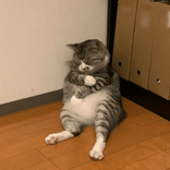 apfhstnwjd