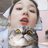 bazagon