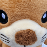 bbbb475