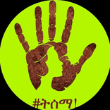 bosy.zaineldean