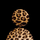 bx_pollina