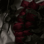 cassiera_
