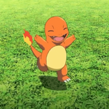 charizarddoll