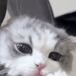 choiannnnn