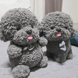 chyuna483naver.com