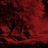 cxamara