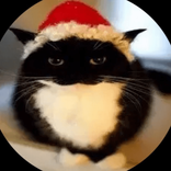 dipfpf