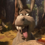 donkeynubs
