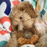georgia.and.buddy2