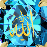 ibrahimdiallo133