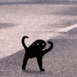 kallmekat