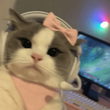 kkluvmuuu
