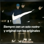 lalealtadesmisignificado
