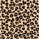 _lasusii