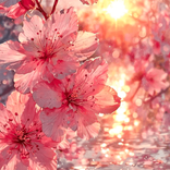 lina_86862