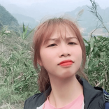 lyly020701