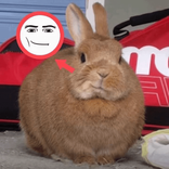 m1s2r4ble