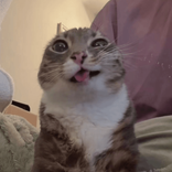 mamikojang1