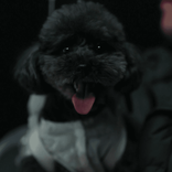 mansoo003004