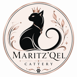 maryamcattery