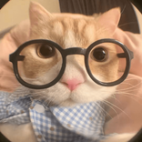 minhthuharley