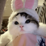 moomayuii