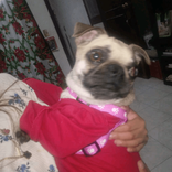 nayemaciel126