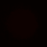 ness.nln
