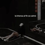 _nicol253