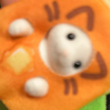 osushiwoosuyo