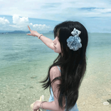 phuong.vy8586