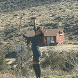 pickymonica