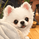 pochikun___20200531