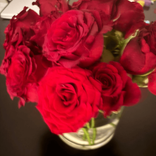 prettyredrosee