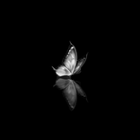 priv404_