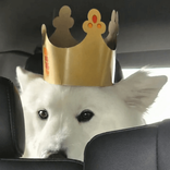 pwiincessgabby