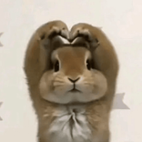 rsmcwj