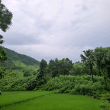 sanysany884