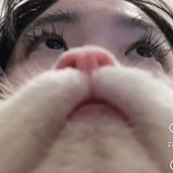 sryforannoyingyu