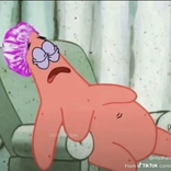 stassiehtx