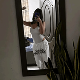 sx_vane
