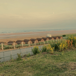 tilly_818906