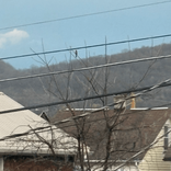 tlynn0311