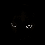 u.found.me661
