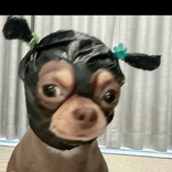 userawe7zjlbt6