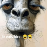 userr3bf0zl7mc